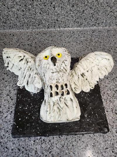 Hedwig - Cake by wendibm