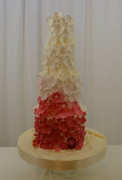 Pink Ombre - Cake by Sugarpixy