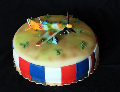 Plane - Cake by Anka