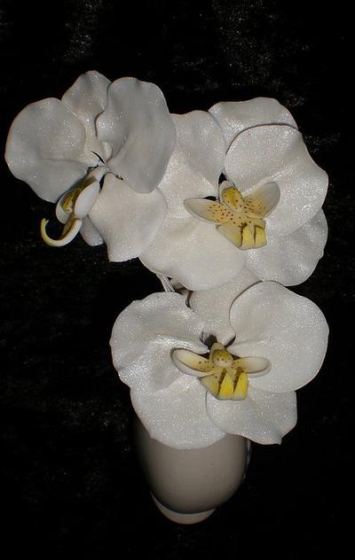 Phalaenopsis Orchids  - Cake by Sugarart Cakes
