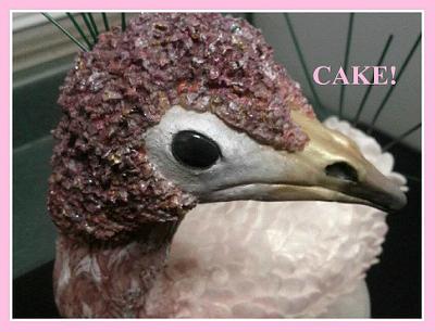 Peacock Cake - Cake by Cake! By Jennifer Riley 