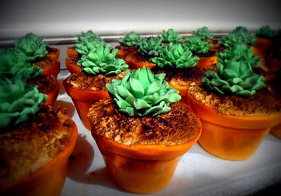 Terracotta Pots (cupcakes) - Cake by Lisa-Jane Fudge
