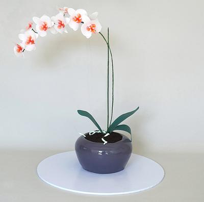 Potter Orchid Cake - Cake by Sweet Tiers - Helena Kastanis