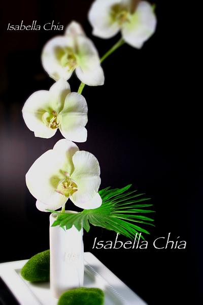Gum Paste Moth Orchids - Cake by IsabellaChia