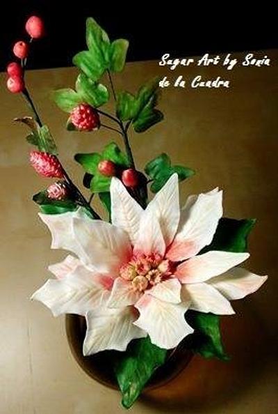 Christmas Poinsettia - Cake by Sonia de la Cuadra