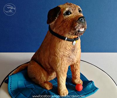 Border Terrier - Cake by CakeyCake