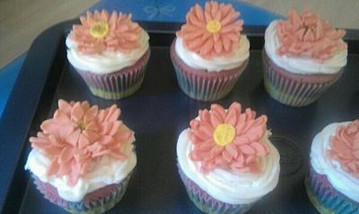 Gerberra cupcakes - Cake by shelley