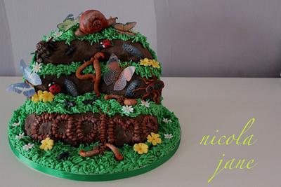 Insect cake - Cake by nicola thompson
