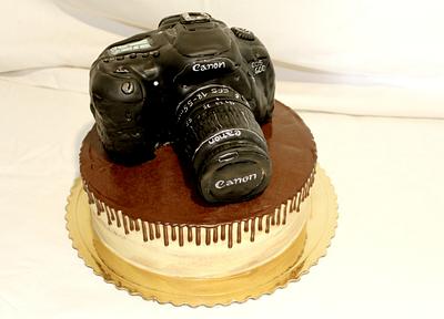 Do you wanna take a photo?  - Cake by Sugar Witch Terka 