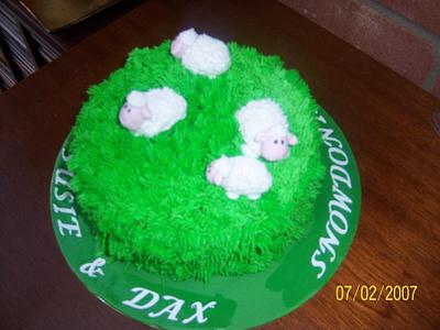 Sheep! - Cake by nannyscakes