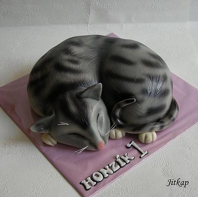 Kocour - Cake by Jitkap