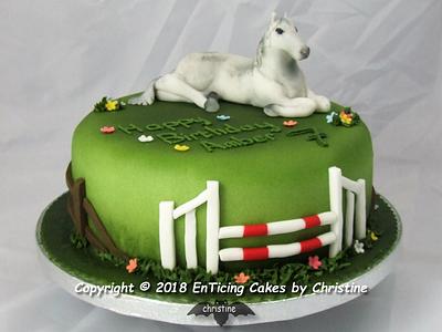 Pony - Cake by Christine Ticehurst