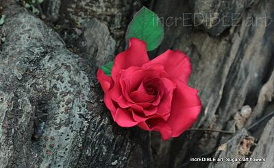Flower paste Red Garden Rose! - Cake by Rumana Jaseel
