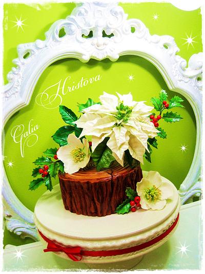 Poinsettia - Cake by Galya's Art 