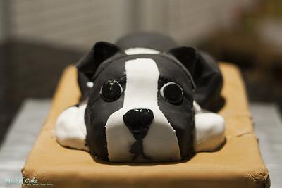Boston Terrier - Cake by Vanilla01