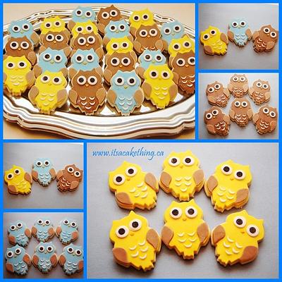 Mini Owl Sugar Cookies - Cake by It's a Cake Thing 