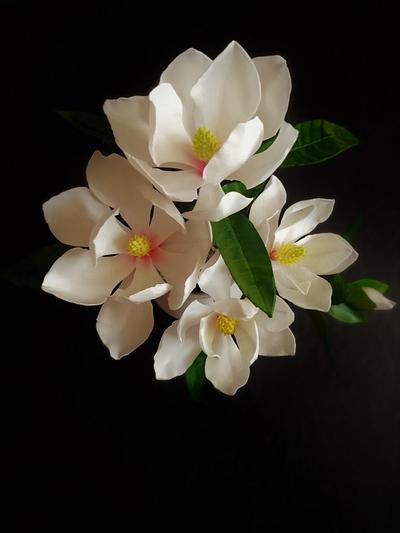 Magnolia grandiflora - Cake by babkaKatka