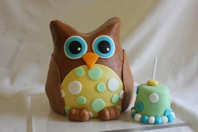 Owl 1st Birthday Cake - Cake by Meredyth Hite