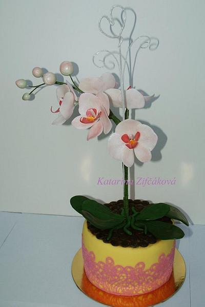 Orchid in flowerpot - Cake by katarina139