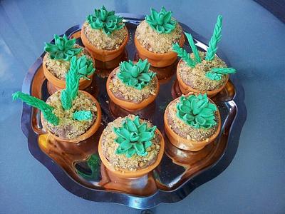 Succulent cupcakes - Cake by Aurélie's Cakes