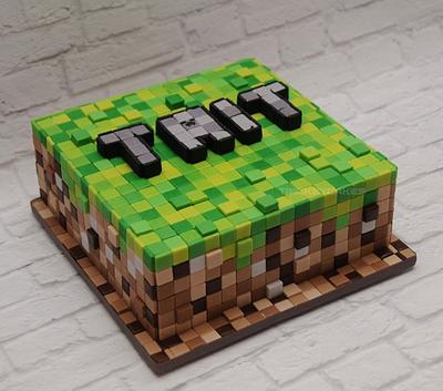 Minecraft....squares and squares - Cake by Trickycakes