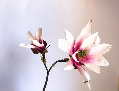 Sugar Art flower  magnolia  - Cake by Levi Brums 