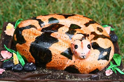 Constrictor Boa - Cake by G Sweets