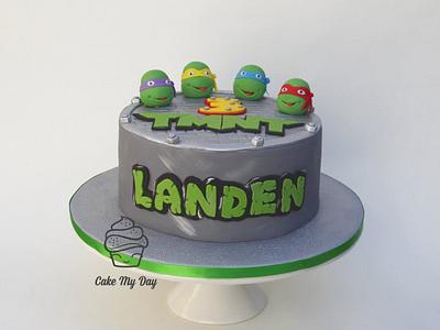 Ninja Turtles - Cake by Cake My Day