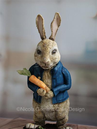 Peter rabbit cake 🐰 - Cake by Nicola Gerrans 