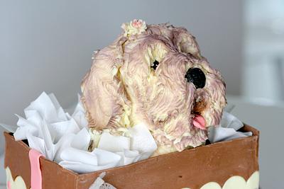 Puppy in box - Cake by Agnes Havan-tortadecor.hu