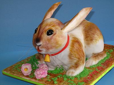 Rabbit cake - Cake by Jana Cakes
