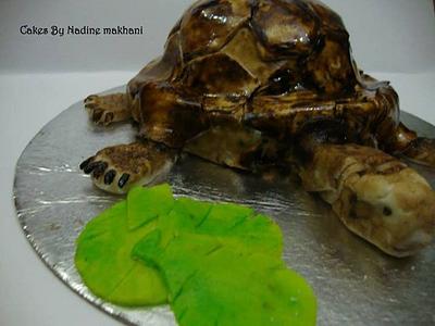 The Turtle  - Cake by Nadine Makhani