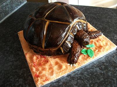 tortoise - Cake by Ella James