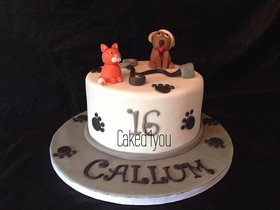 vet themed cake - Cake by Clare Caked4you