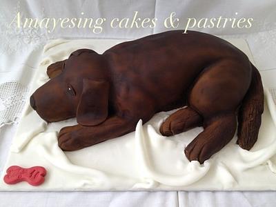 Airbrushed chocolate Labrador cake - Cake by Alison m
