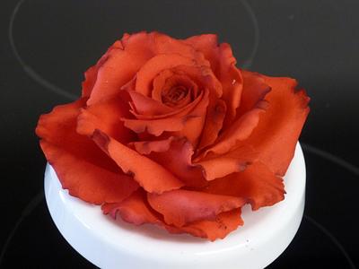 Red rose - Cake by Patricia M