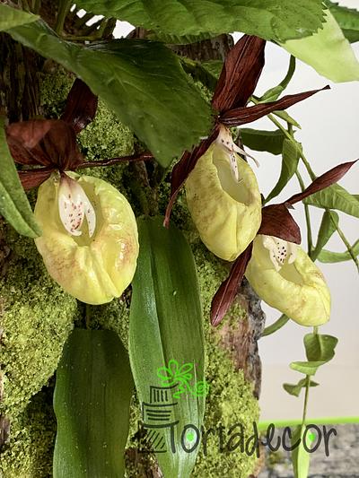 "Happy Woman Slipper" orchid - Cake by Agnes Havan-tortadecor.hu