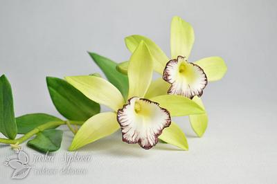 Vanilla orchid - Cake by JarkaSipkova