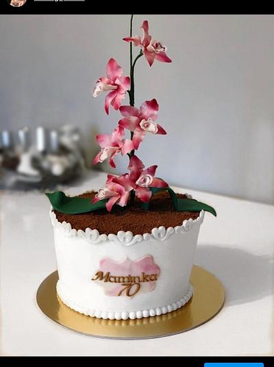 Cymbidium orchid cake - Cake by Dominikovo Dortičkovo