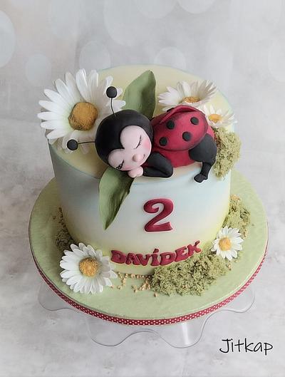 Ladybug cake - Cake by Jitkap