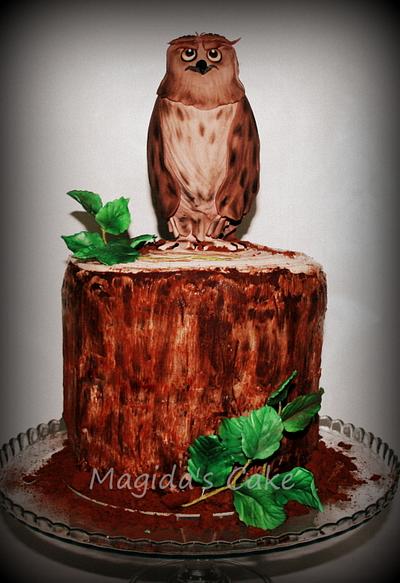 Cake Owl - Cake by MagidasCake