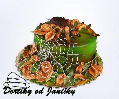 Spider cake - Cake by dortikyodjanicky