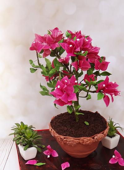 For the love of bougainvilleas!! - Cake by Prachi Dhabaldeb