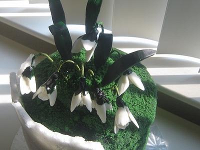 Moss Cake With Sugar Sheet - Cake by Cakeicer (Shirley)