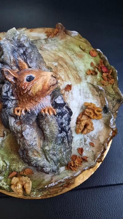  Chiky squirrel cake - Cake by Fatiha Kadi