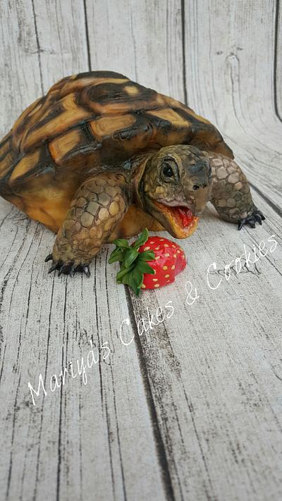Turtle love - Cake by Mariya's Cakes & Art - Chef Mariya Ozturk