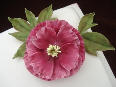 Peony Cake - Cake by Di's Delicious Cakes - Four Crosses