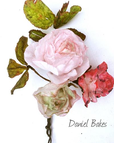 Spring Roses  - Cake by Daniel Guiriba