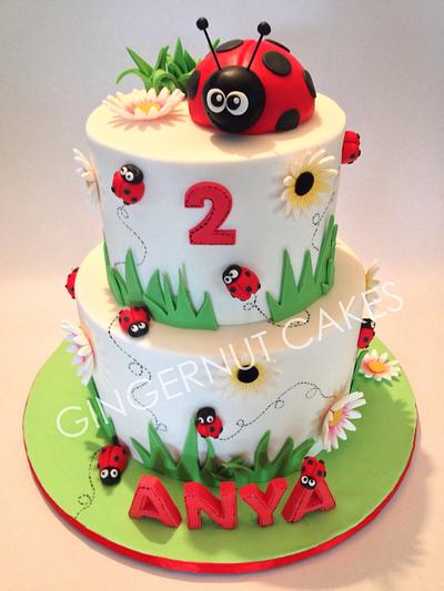 Ladybugs and Daisies - Cake by Gingernut Cakes