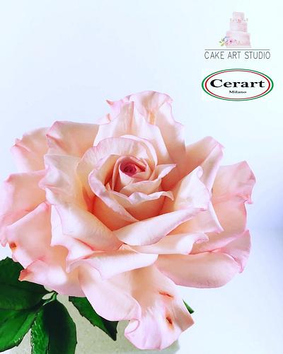 Pink rose  - Cake by Cake Art Studio 